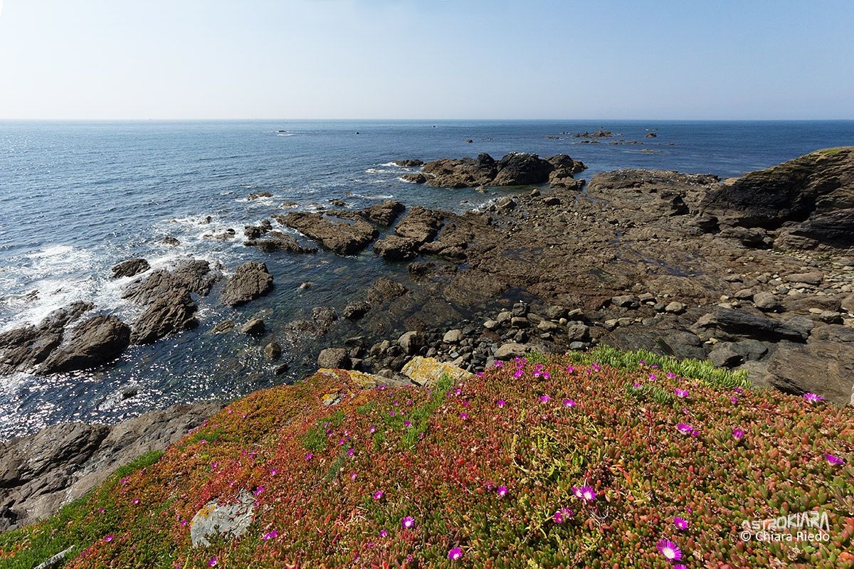 Cliffs Lizard Peninsula