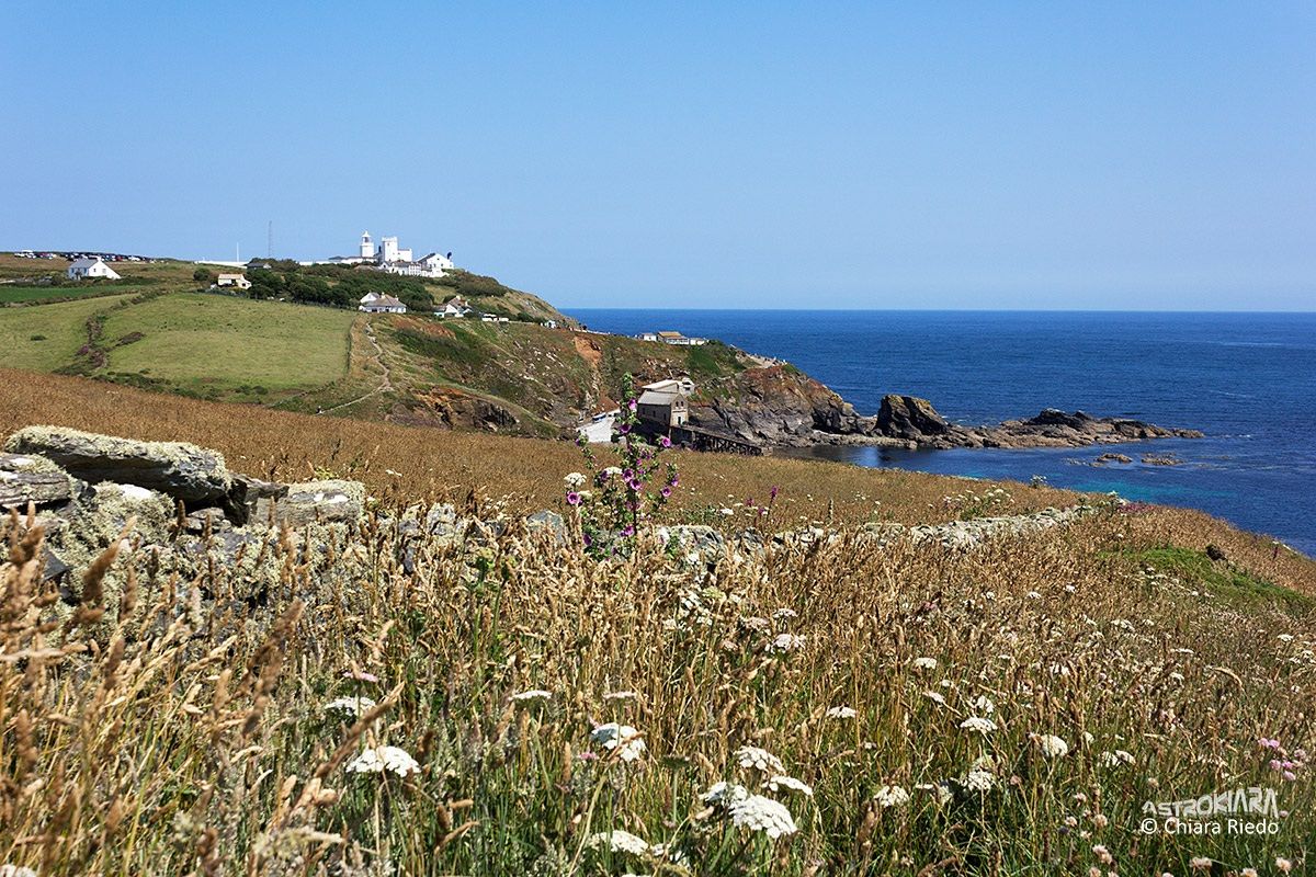 Lizard Point