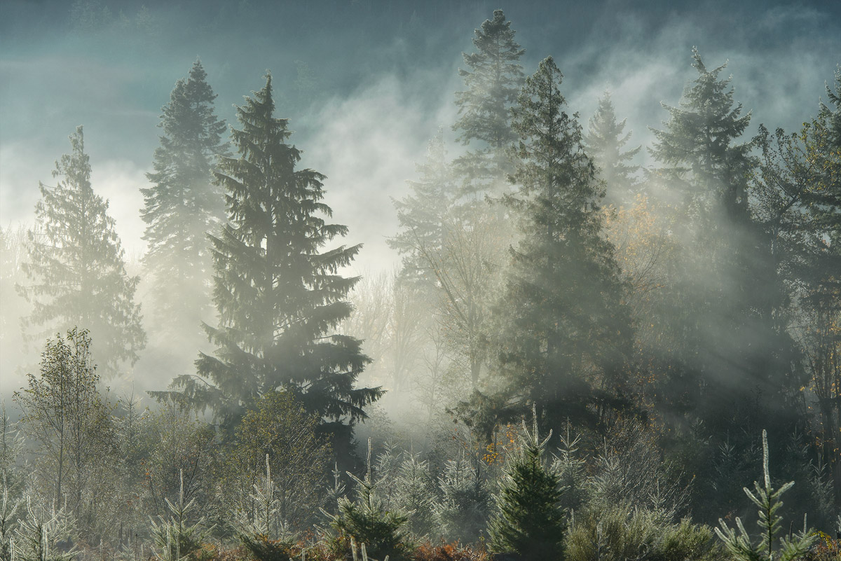 Packwood, Washington