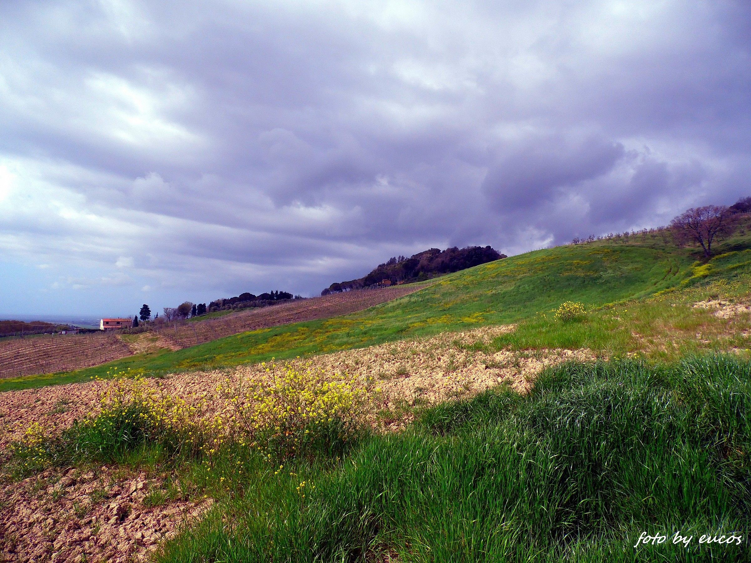 The Tuscan countryside 14