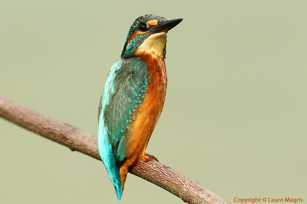 Se permetti mi asciugo qui