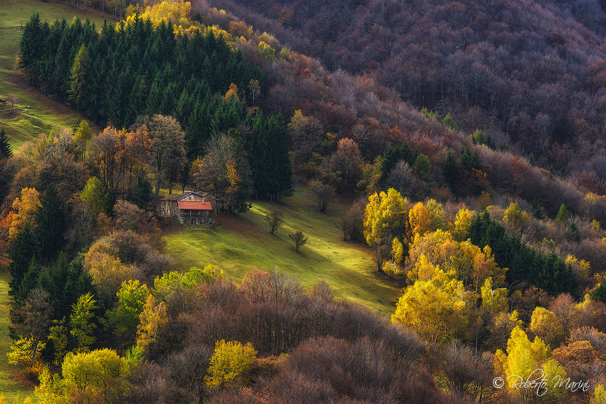 Autumn in the Park of the Northern Grigna