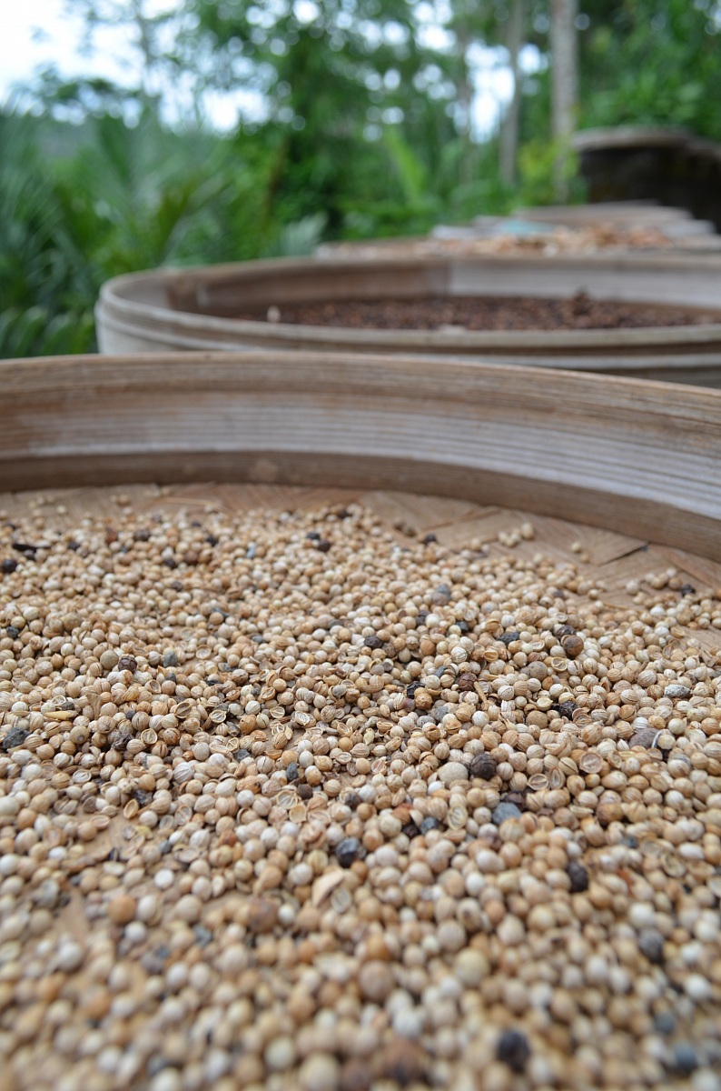 le spezie e i profumi