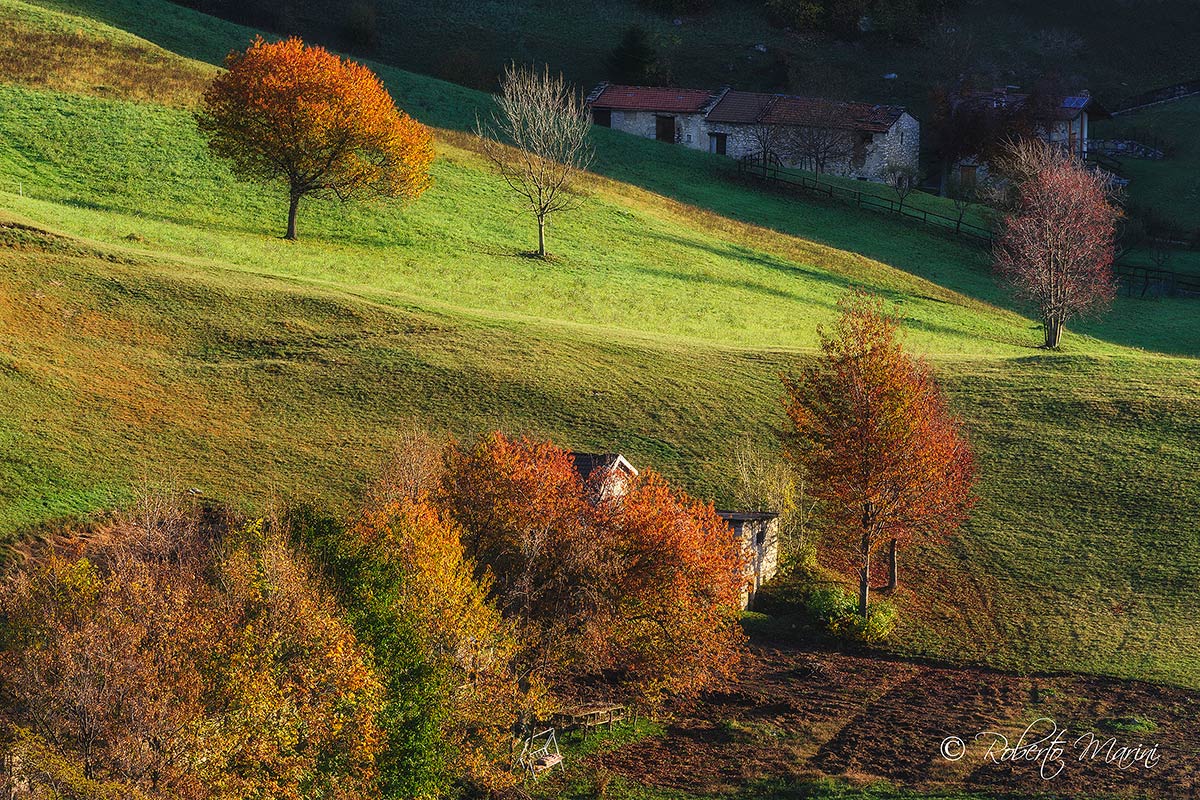 Autumn in the Park of the Northern Grigna 2