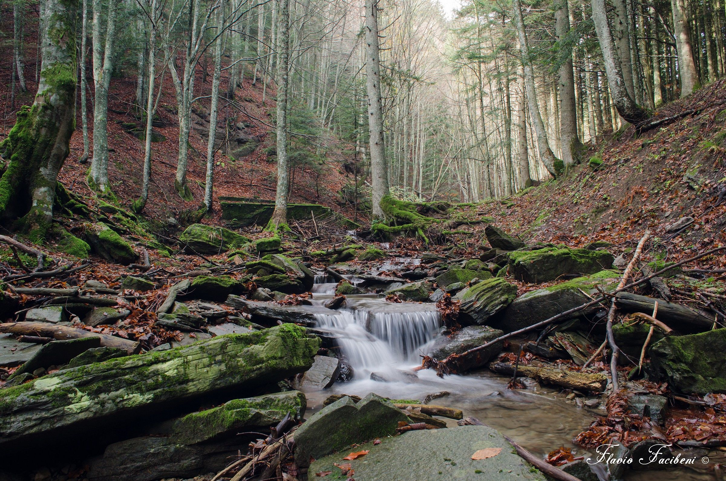 La magia dell'autunno