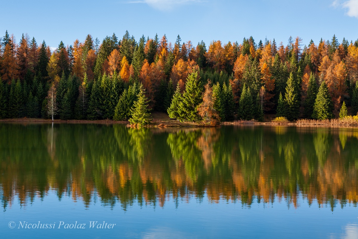 Autumn reflections 1