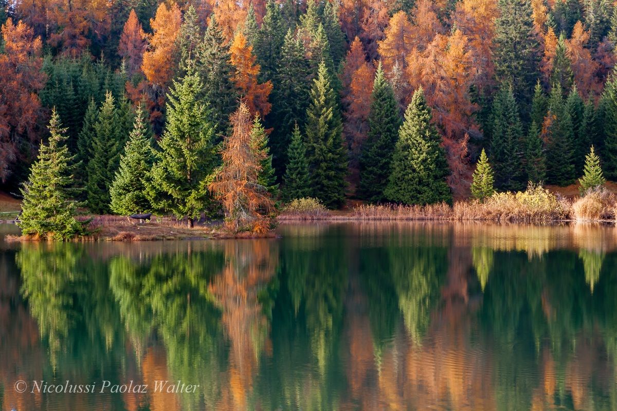 Riflessi autunnali 2