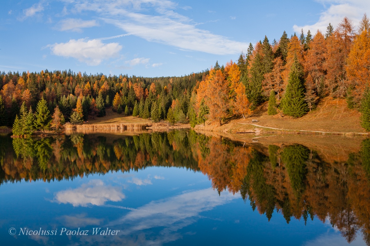 Riflessi autunnali 3