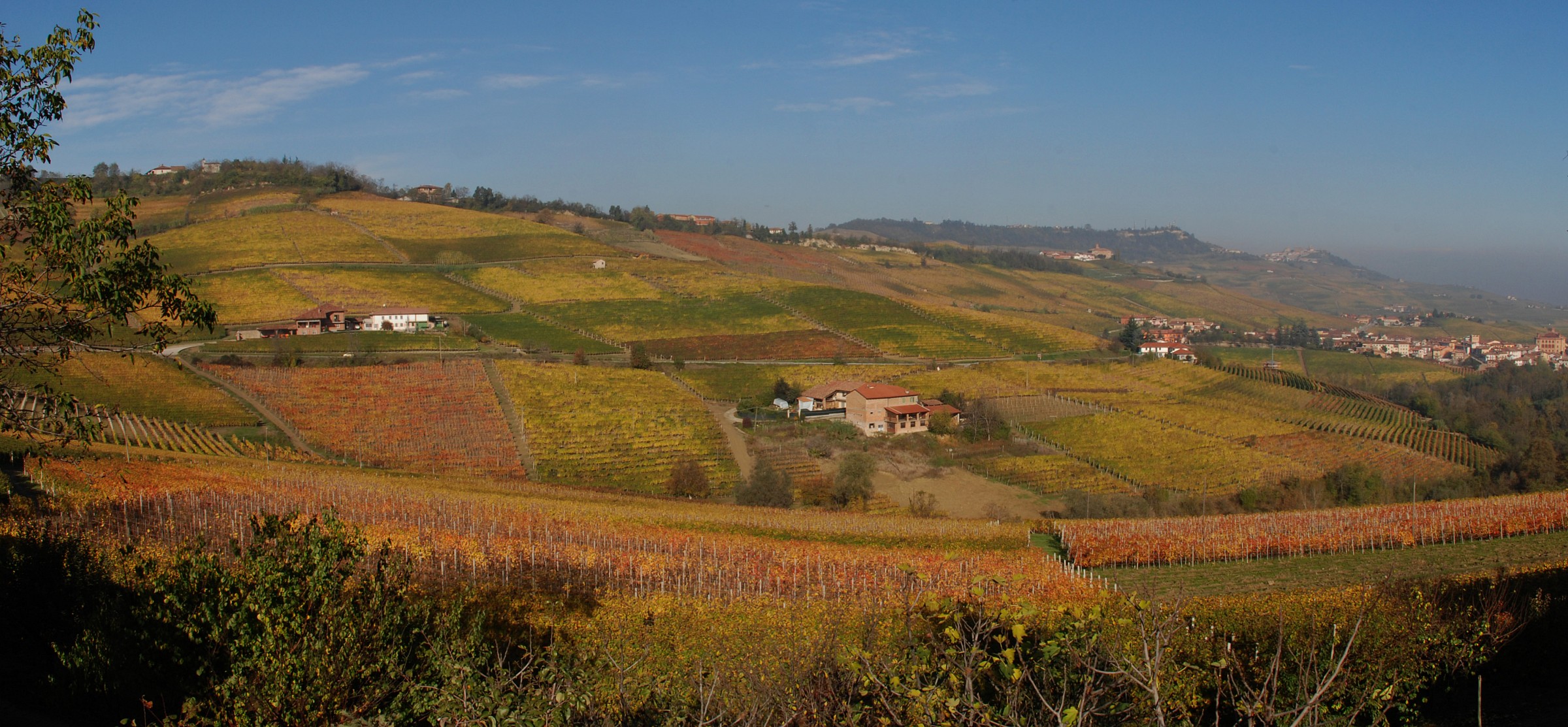 The Langhe 01