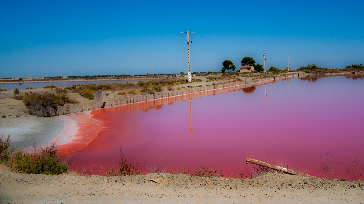 Saline Aigues Mortes