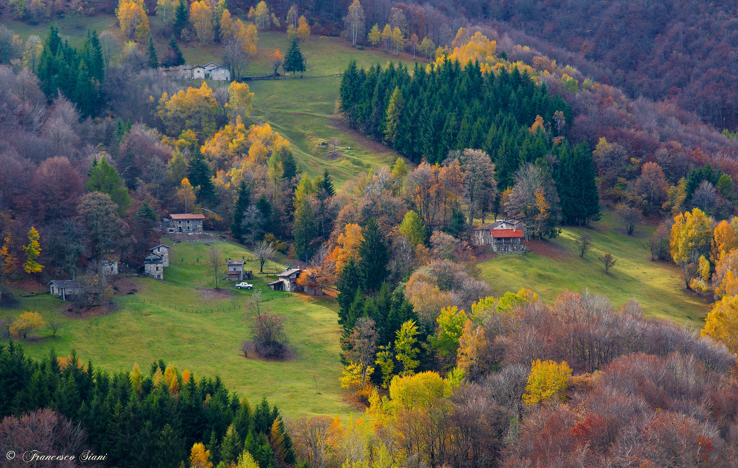 Trio of autumn colors