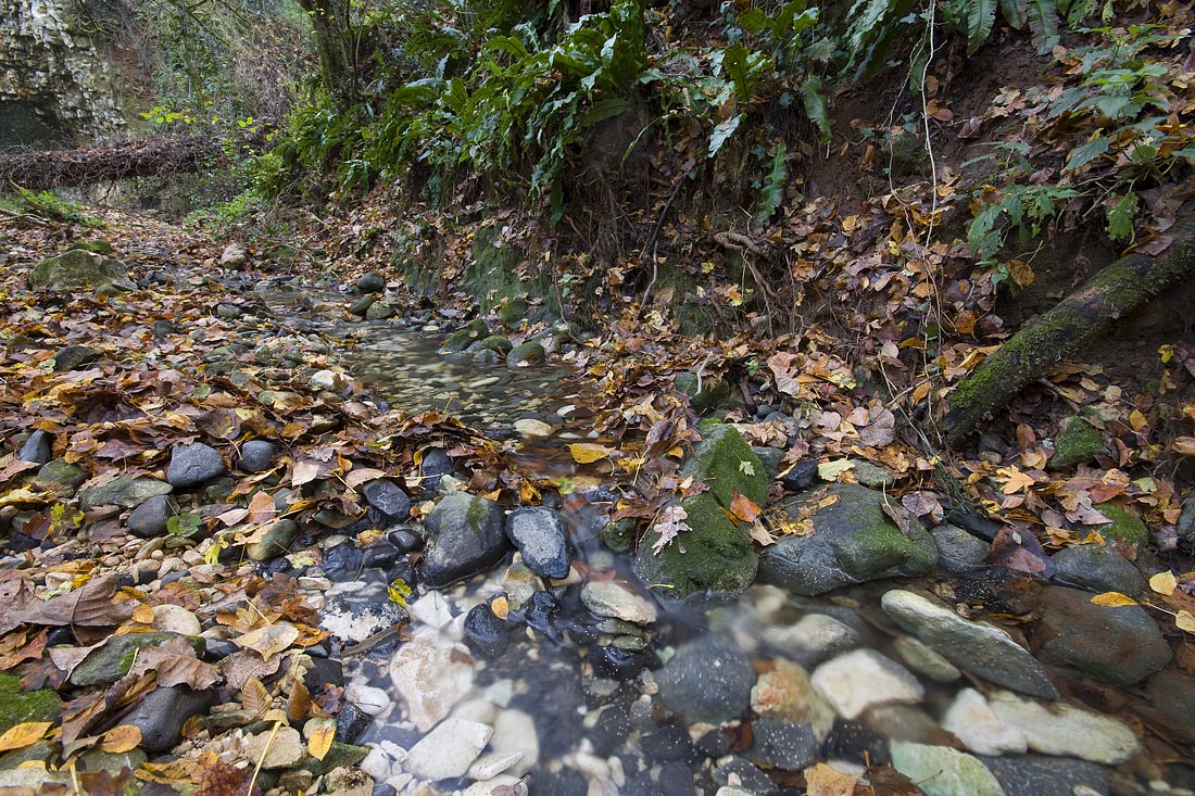 Val Borago. The passing of autumn.
