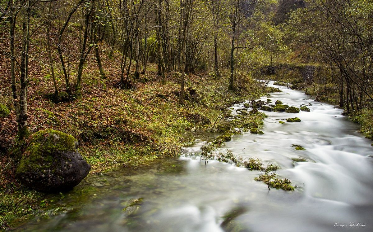 The colors of autumn