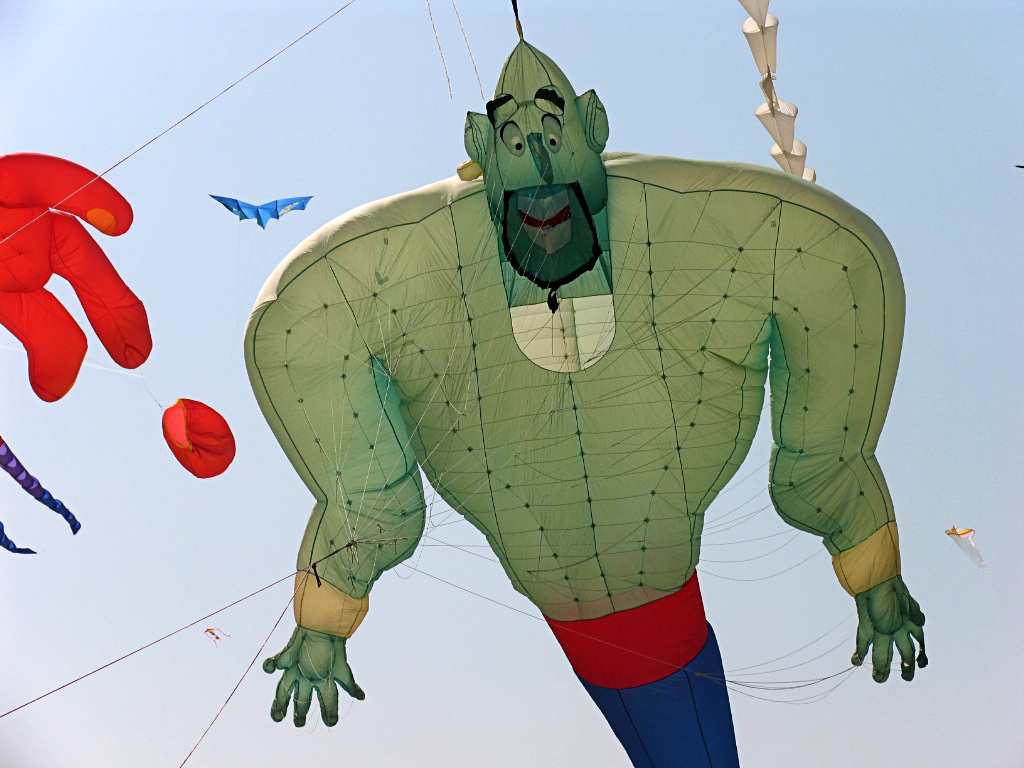 Aladino flight (Cervia festival aquiloni)