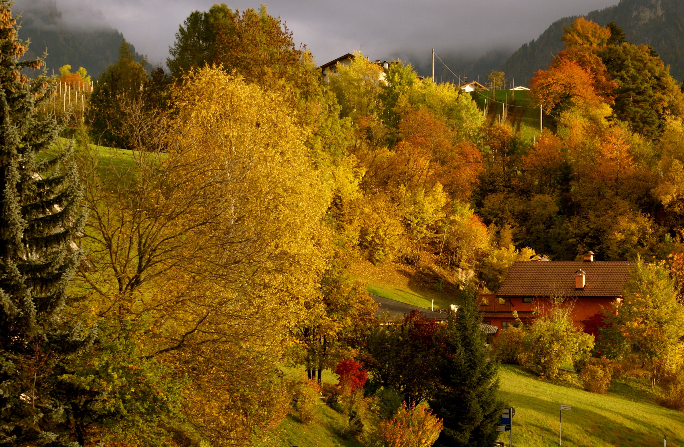Autumn in Val di Siusi.