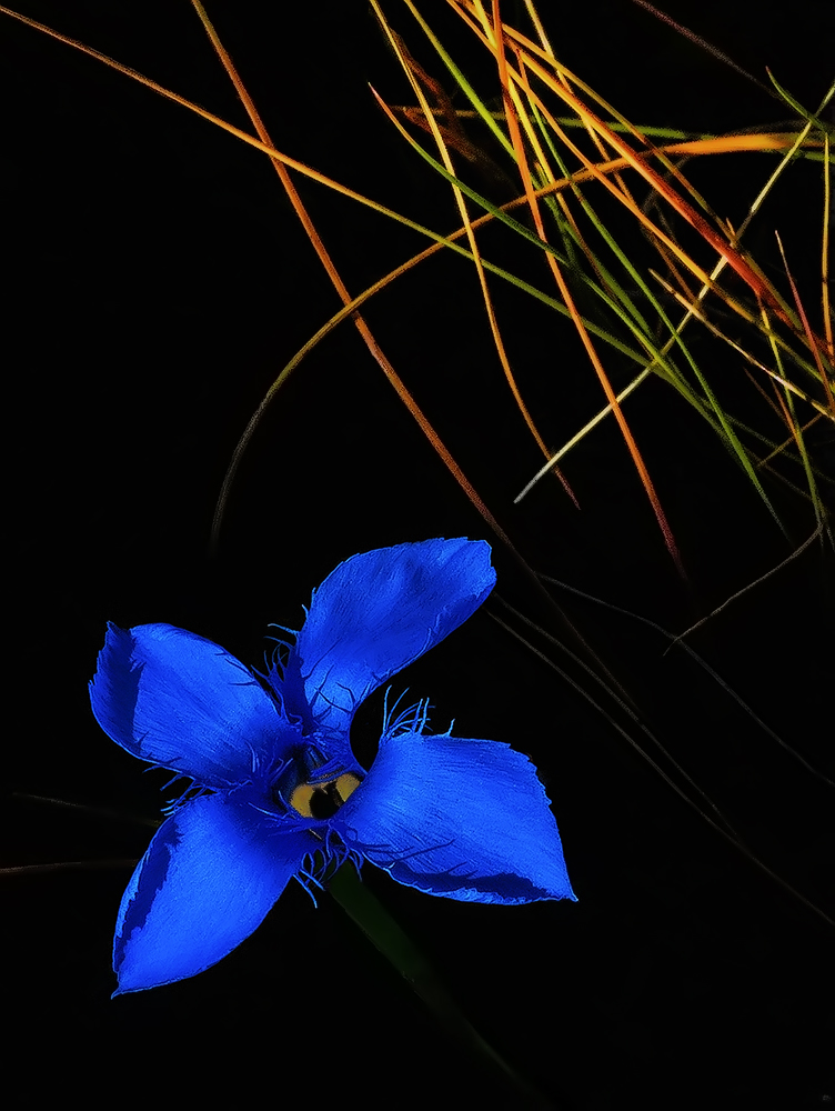 Primi colori autunnali in montagna