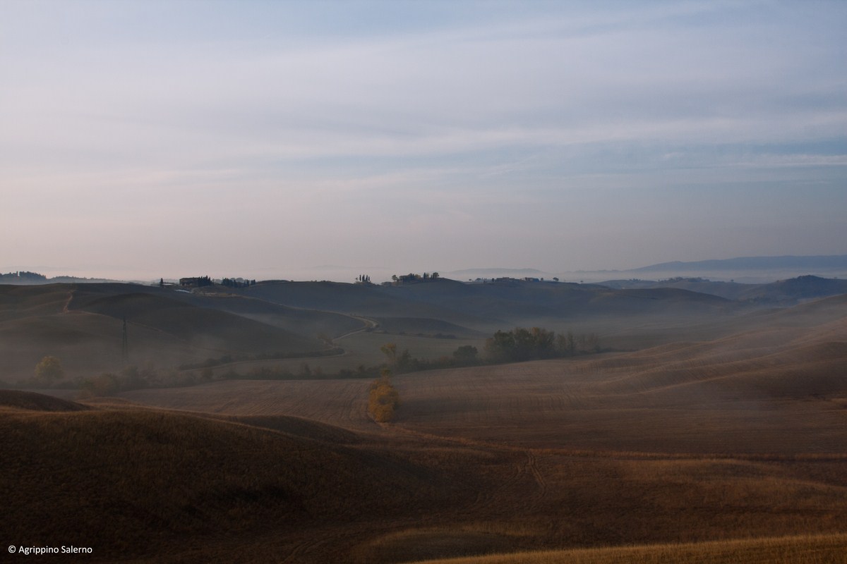Crete Senesi, in the morning mist