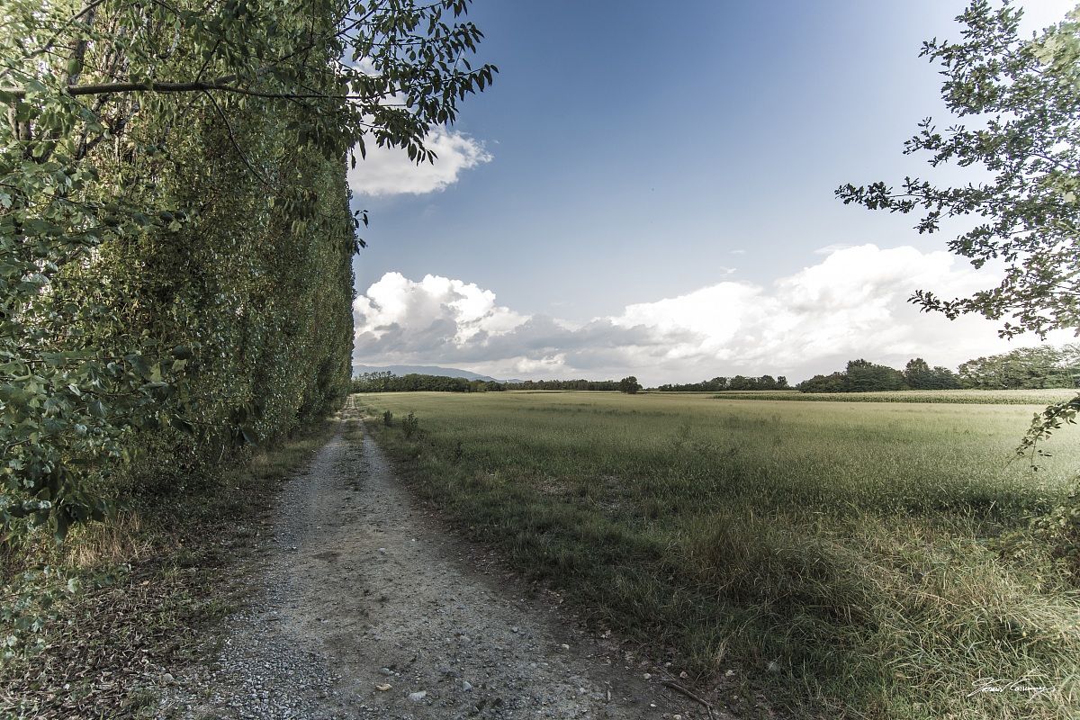 Ripasseggiando ... ...