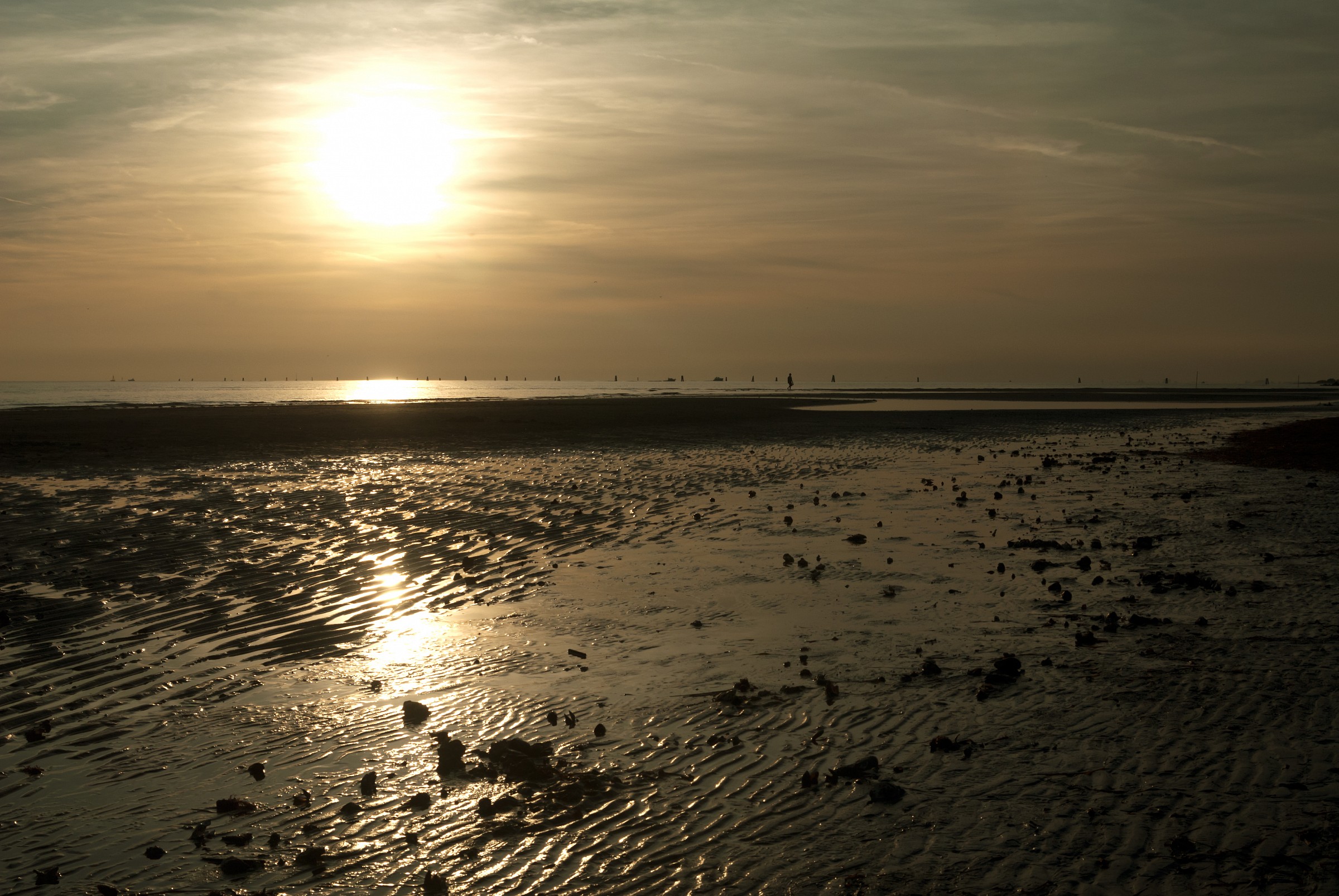 Prime prove filtro polarizzatore