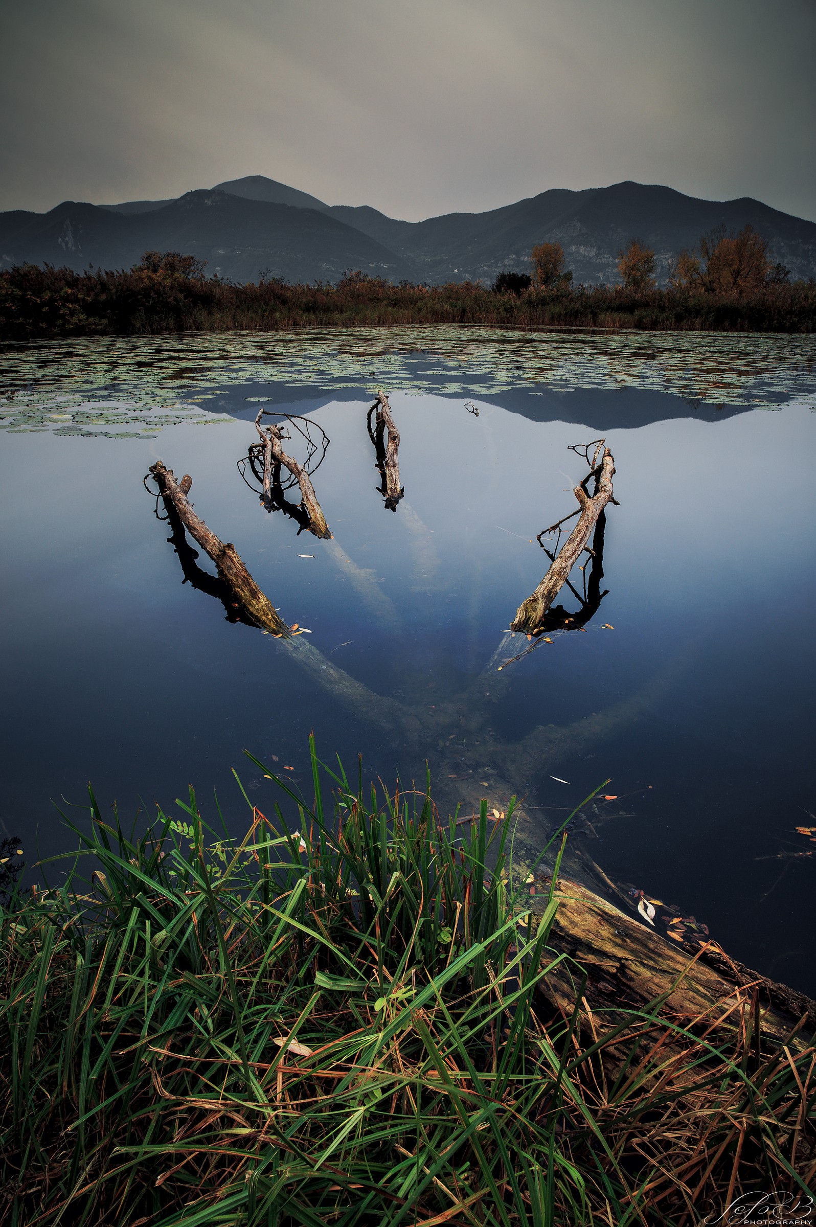 when creatures emerge from the lake