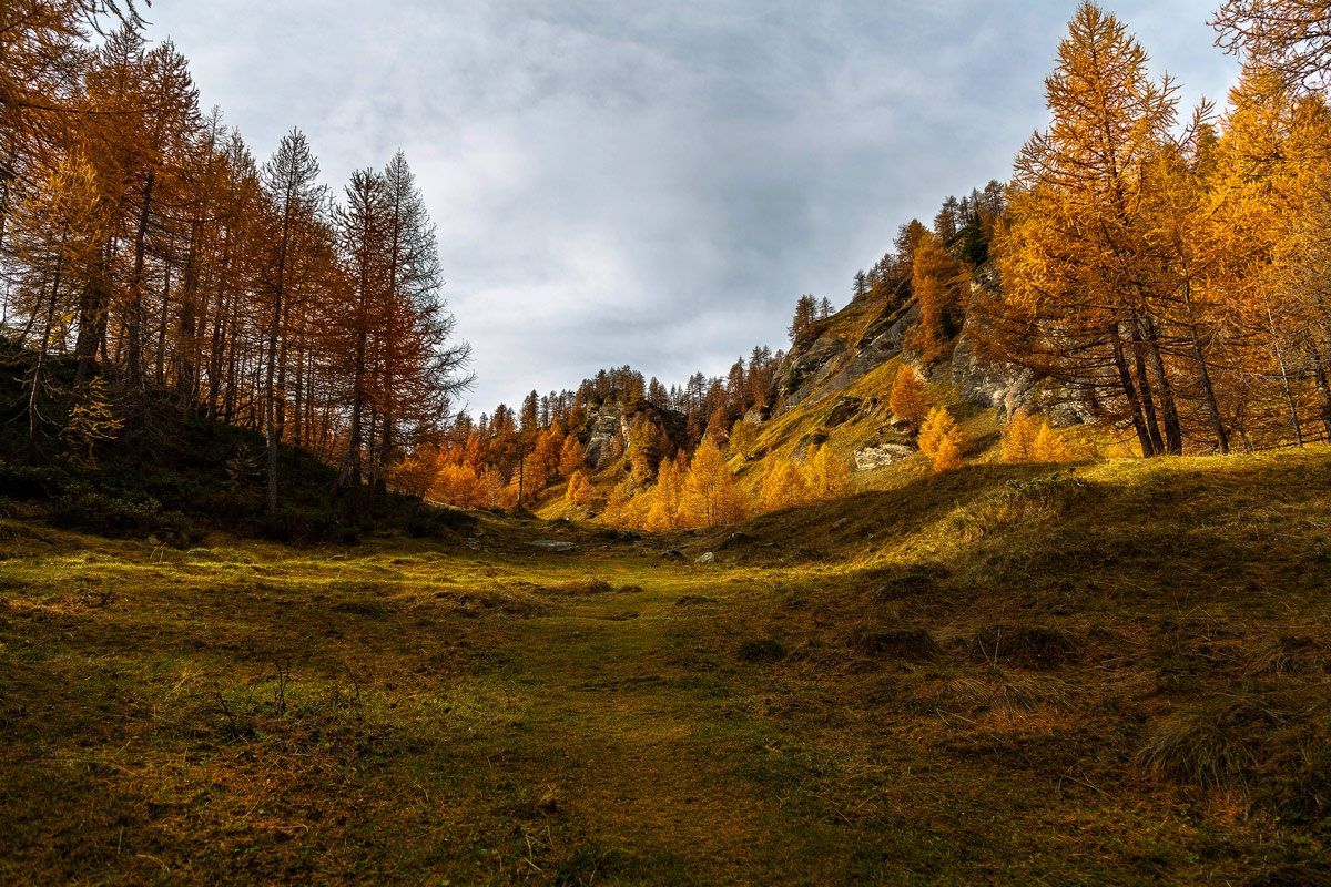 Going up to the 'alp Misanco