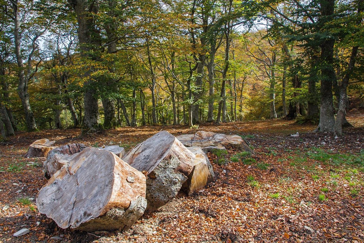 Monte San Vicino - Canfaito 2