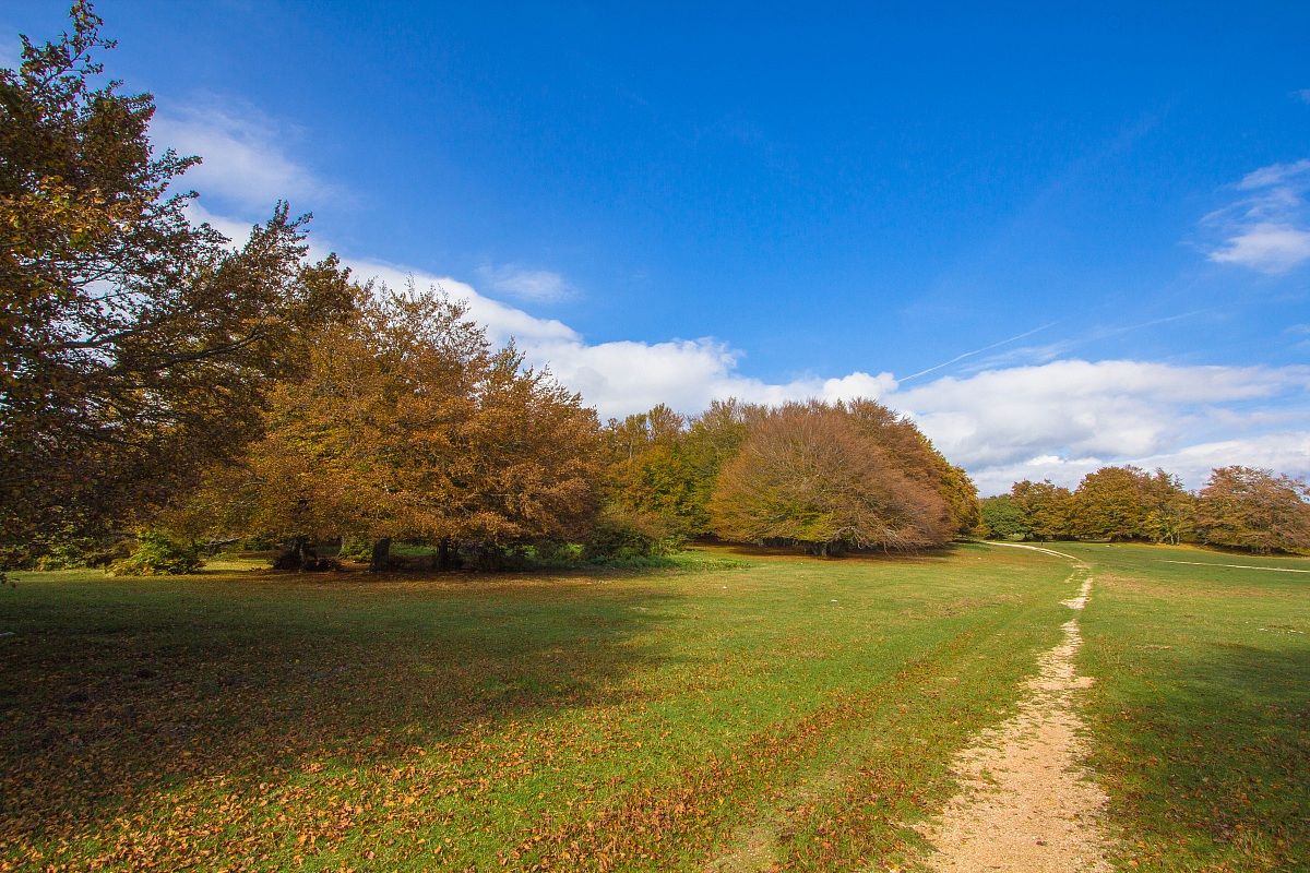 Monte San Vicino - Canfaito 5