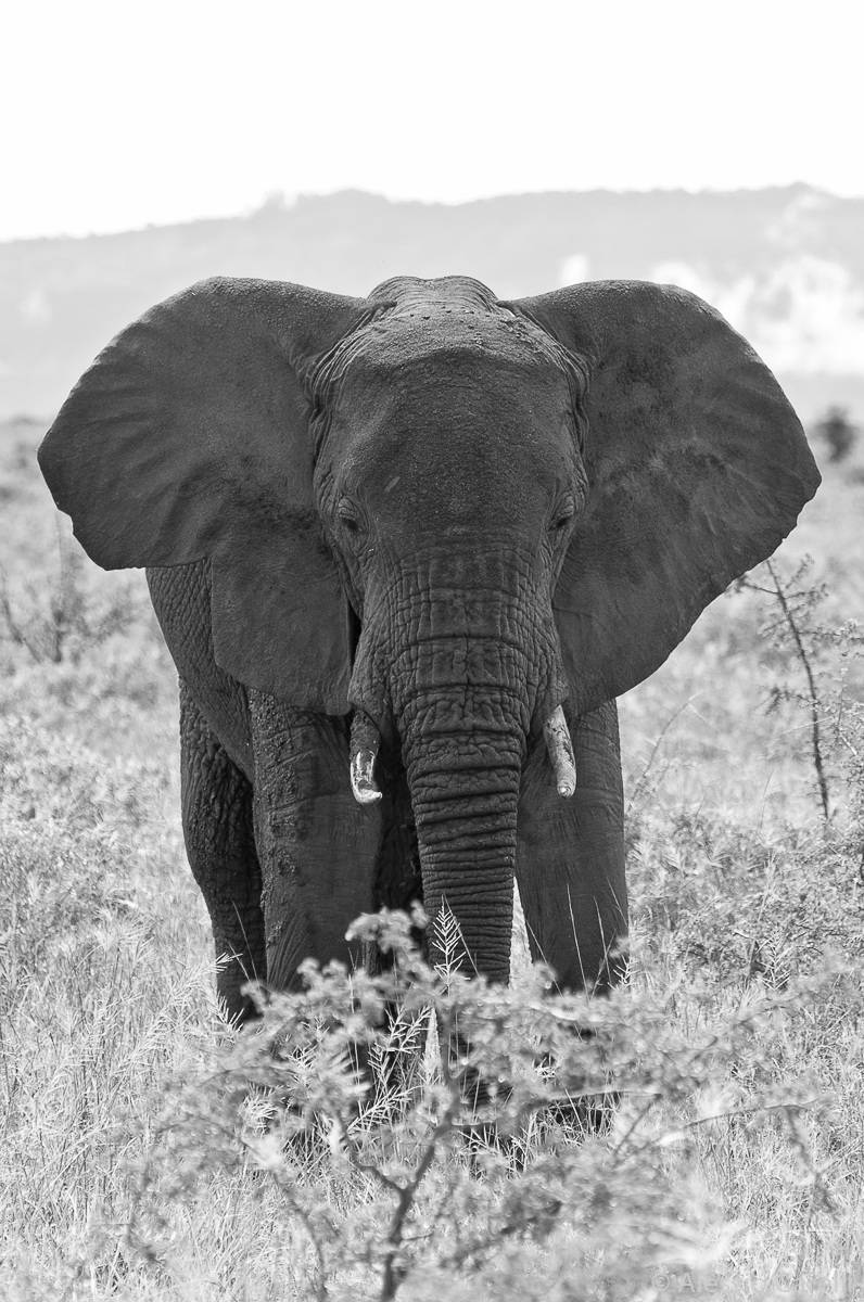 ... Do not make me angry!