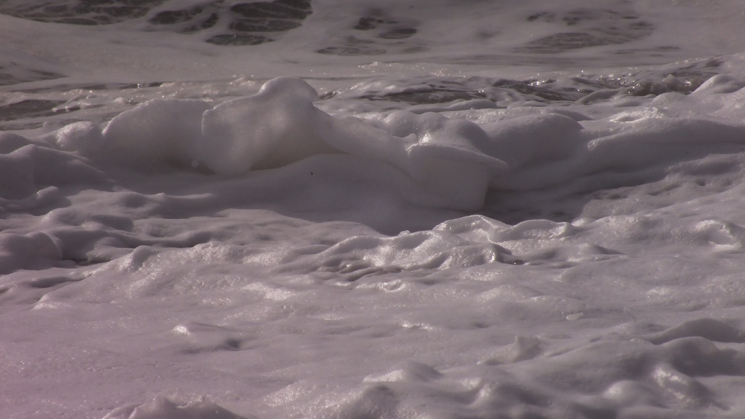 a sea of ??cream ...