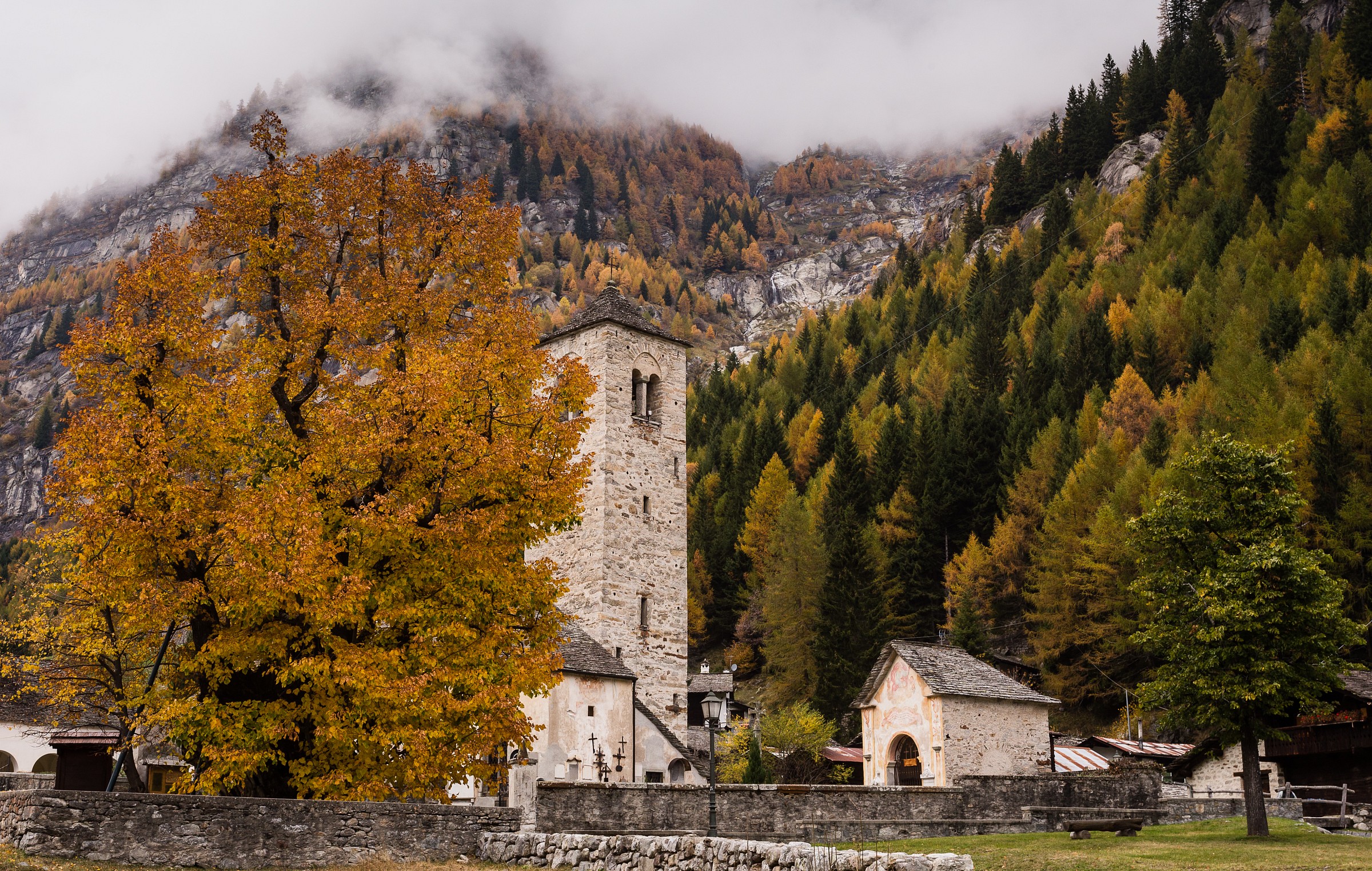 l' Ottocentesimo autunno del vecchio Tiglio