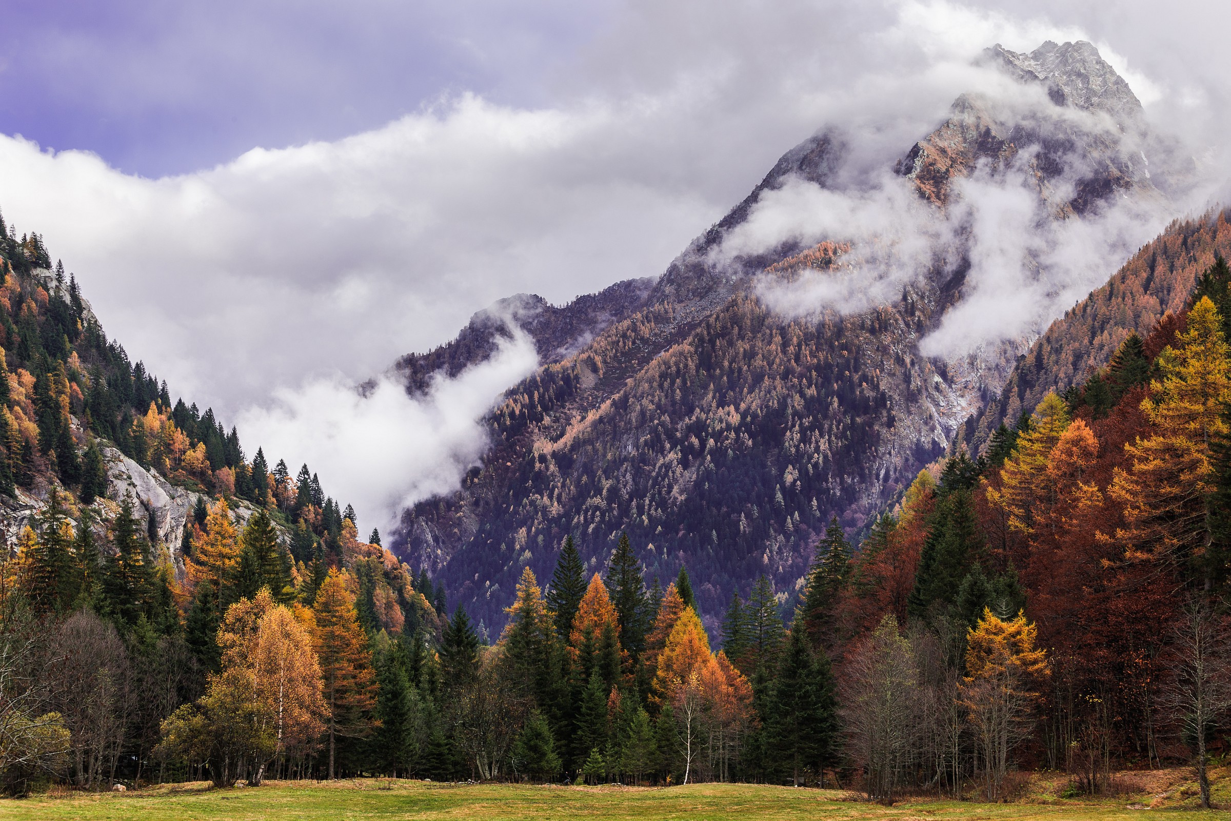 Panorama Alpine Autumn
