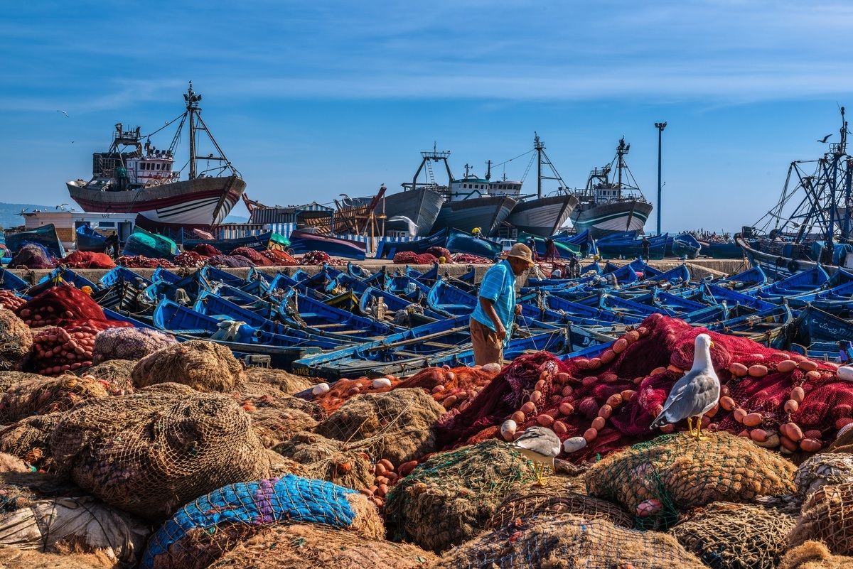 Morocco - Essaouira - fisherman at work