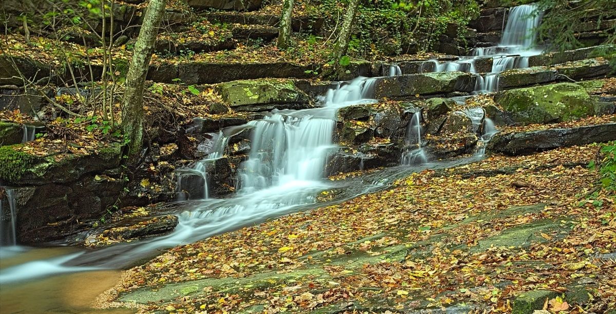 The Enchanted Forest (Waterfalls)