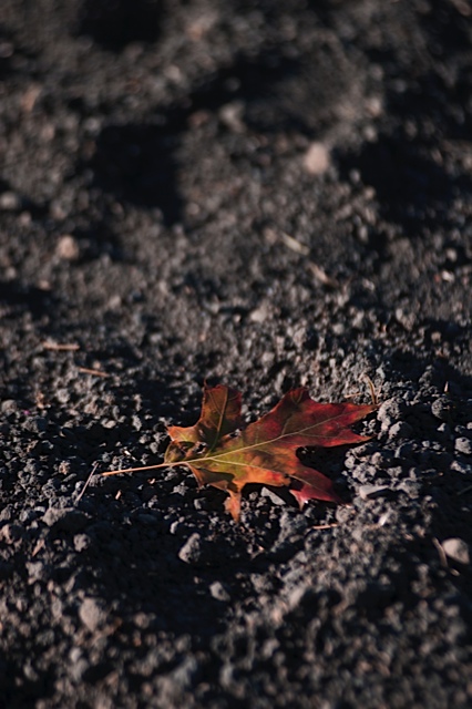 L'anima dell'autunno ..