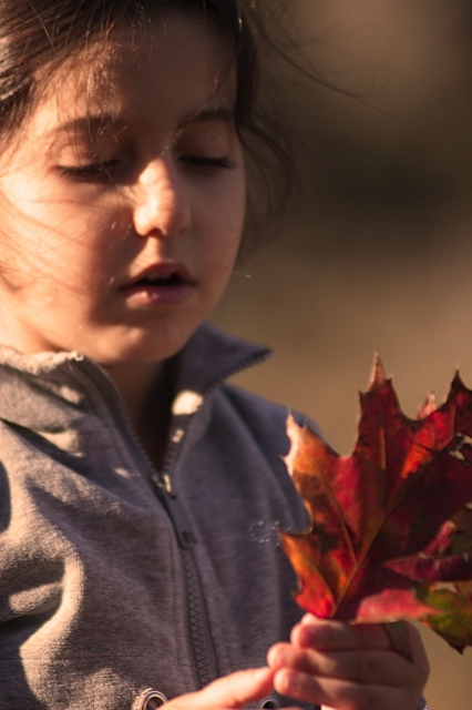 Autunno nell'anina ..