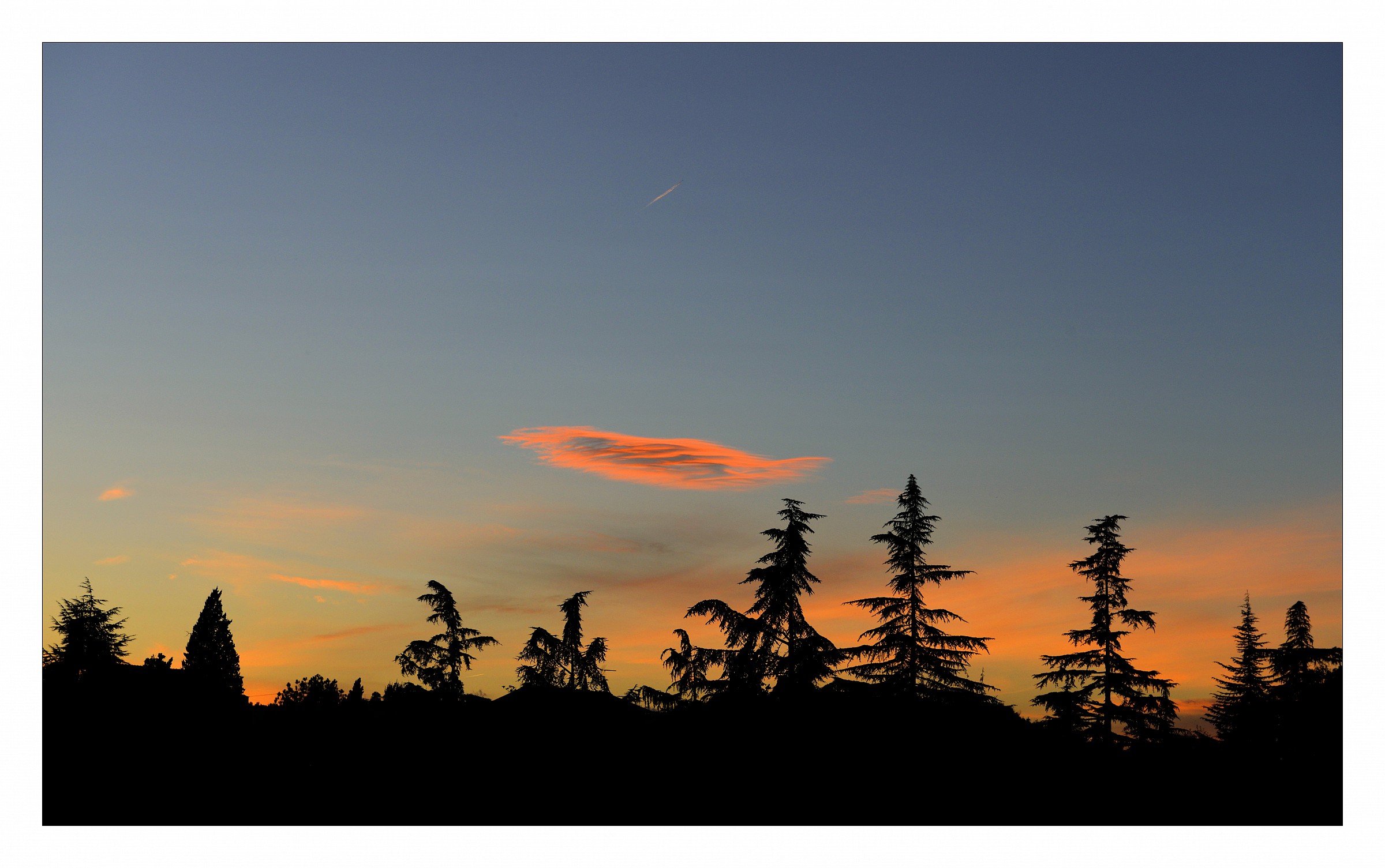 La danza degli abeti