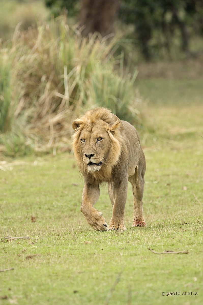 return to the base ...