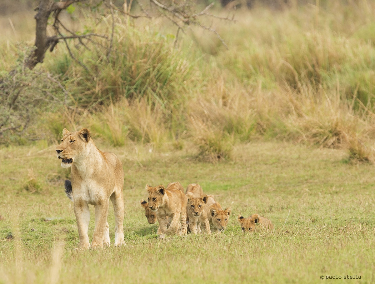 but how many of us!!