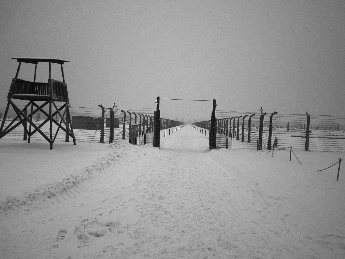 Birkenau