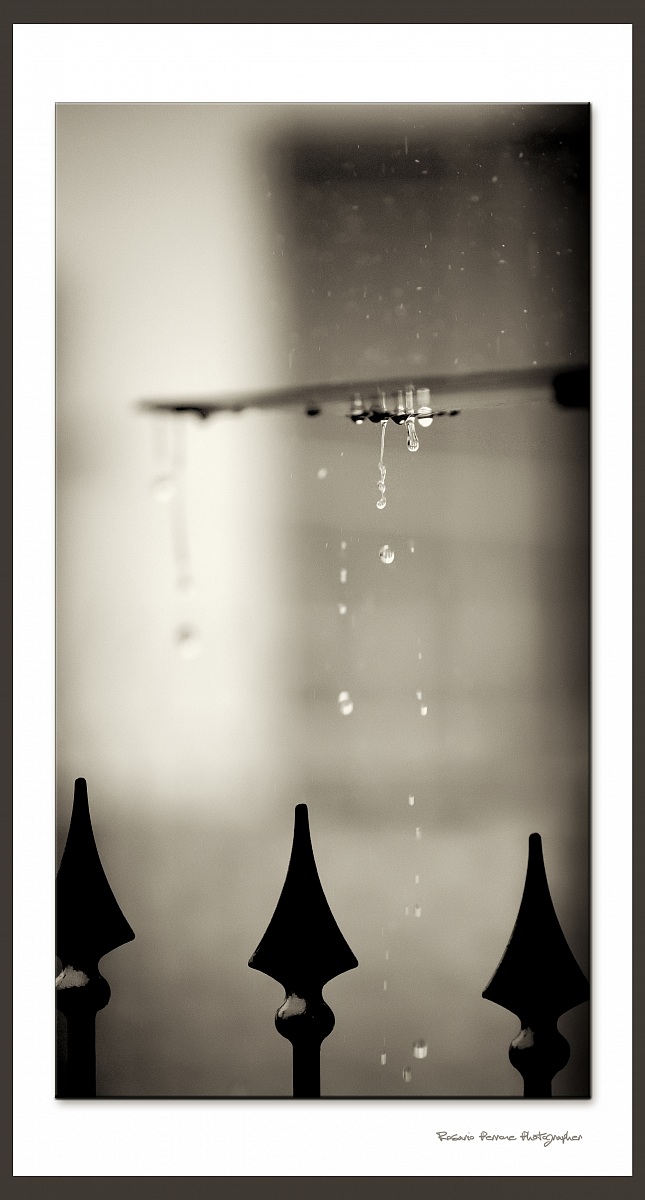 ... giornata piovosa