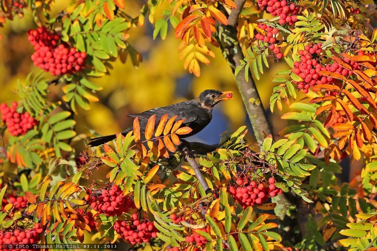 Merenda autunnale al sole del primo mattino