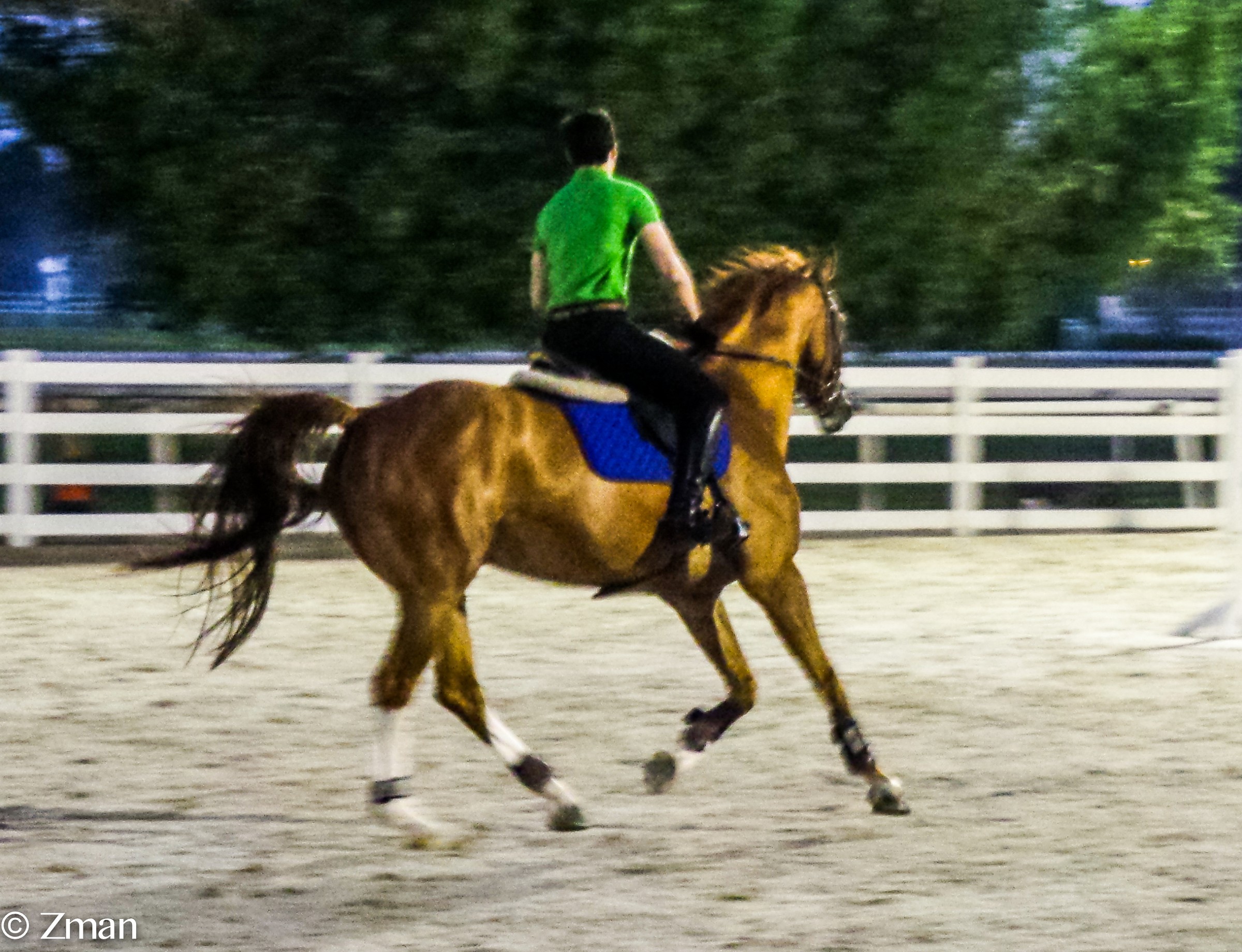 At The Equestrian Training Club