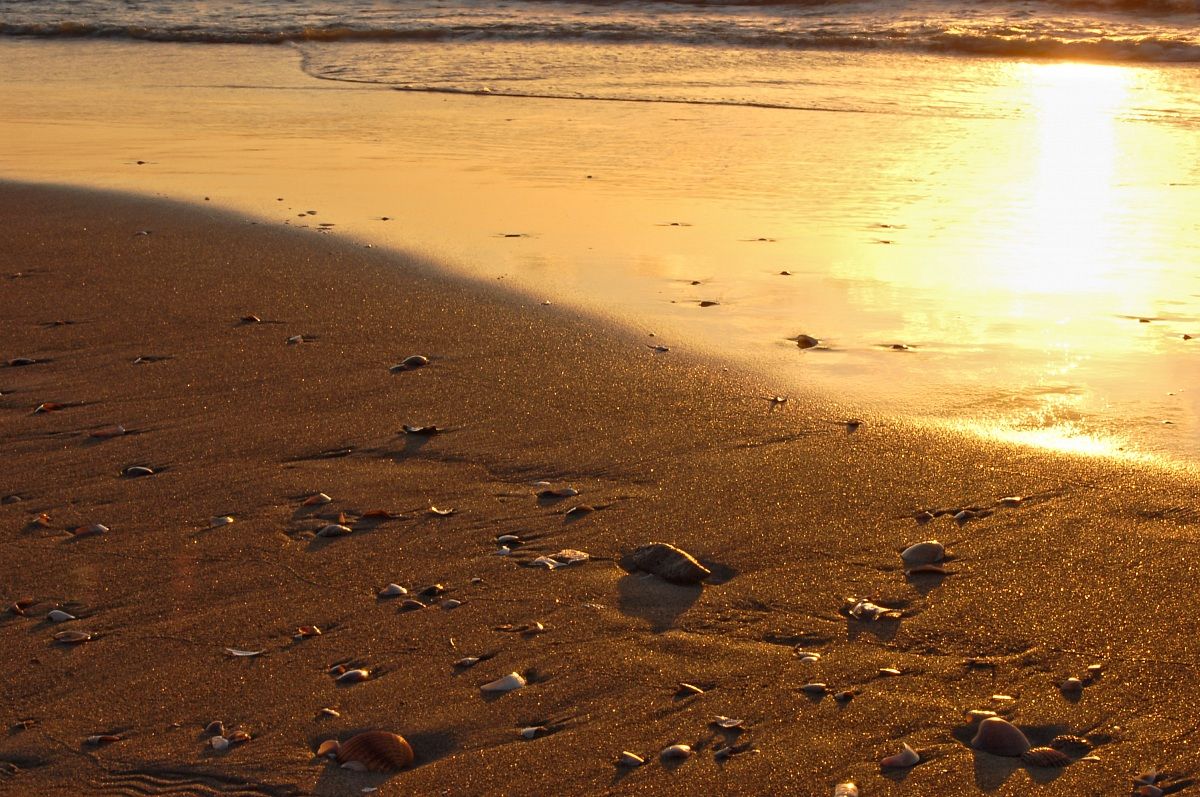Dove finisce un elemento e ne inizia un altro...