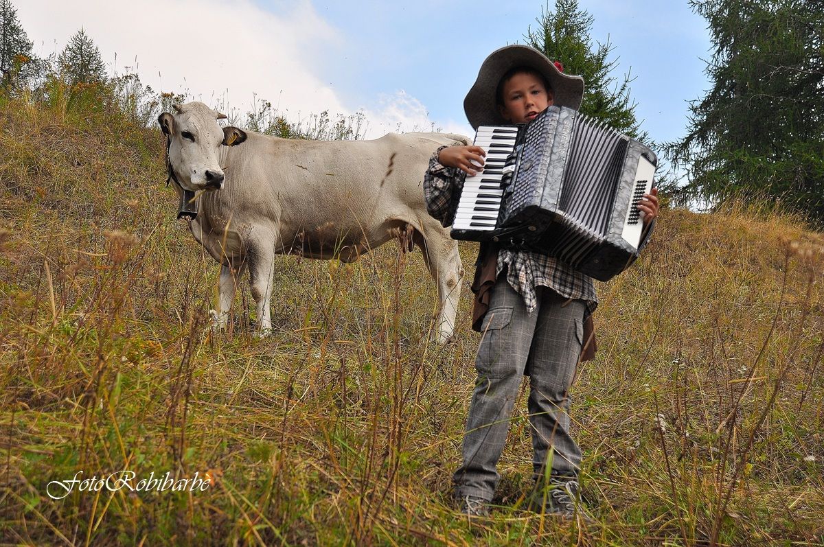 Concerto di Ferragosto ....
