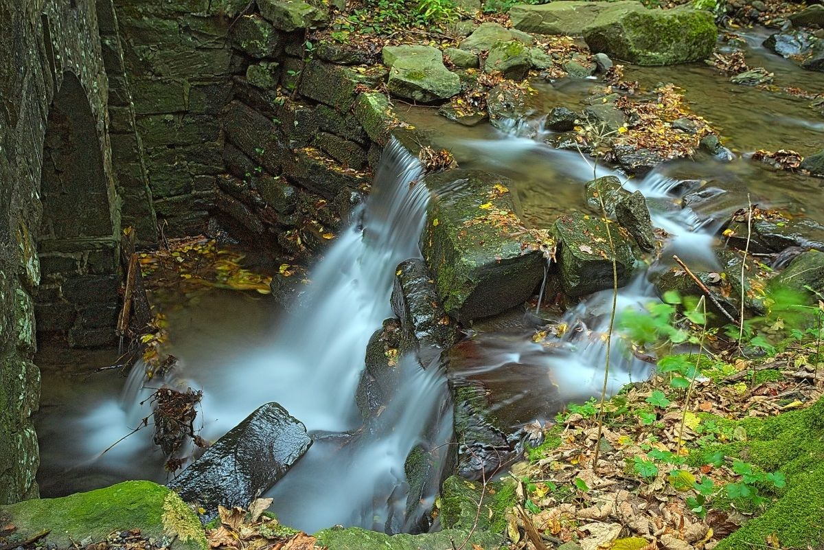 La Foresta Incantata ( The Enchanted Forest )