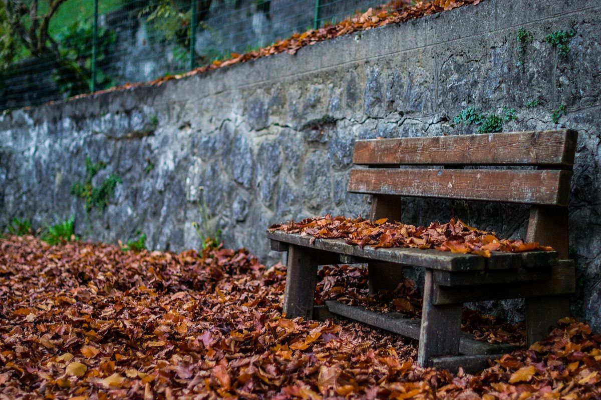 L'arrivo dell'Autunno