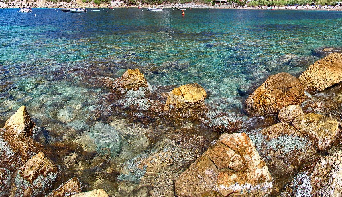 Chiare,dolci e fresche acque