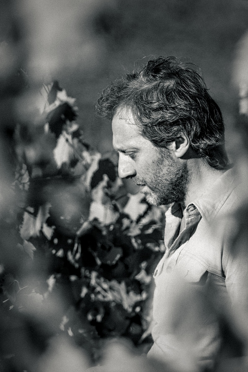 Panfilo - Foto di scena Film/Cortometraggio