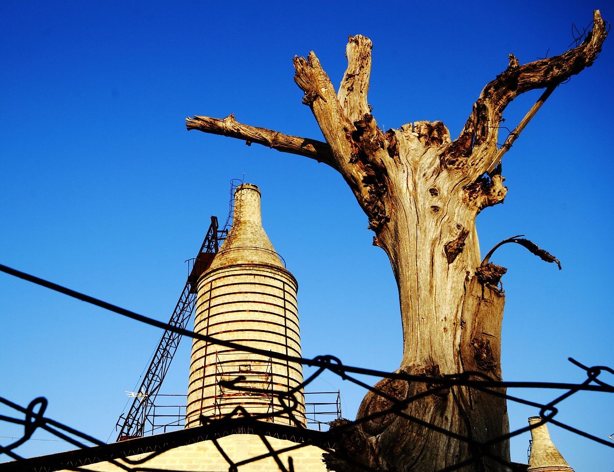 cement and Still Life