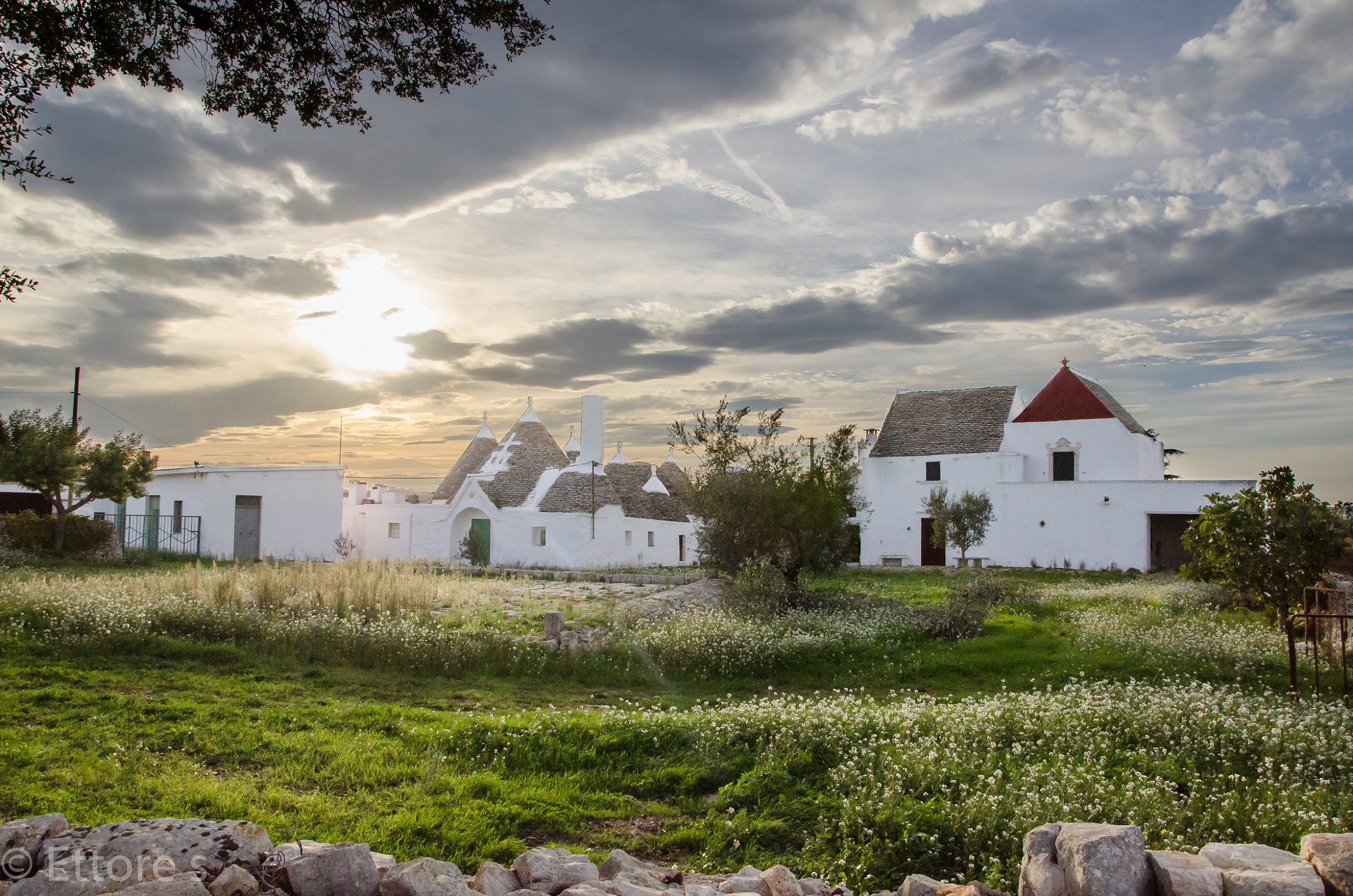 Valle D'itria - Piccola Masseria